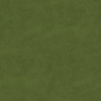 Asset preview